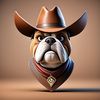 BullyDog Boots