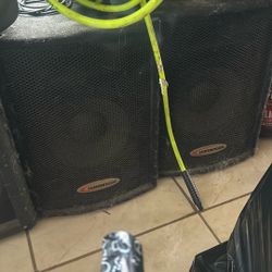 Harbinger Head And Speakers 