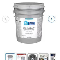 Interior Paint 