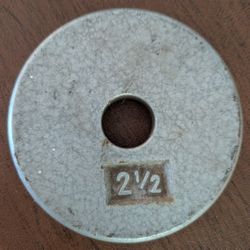 2-1/2 pound 2.5lb weight plate barbell fitness standard disc