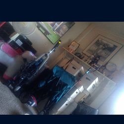 Collectibles Moving Sale Today 