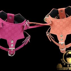 Harness For Dogs