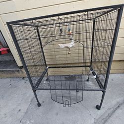 Bird Cage