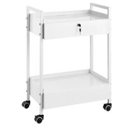 373# Lab Cart, 2 Tiers Stainless Steel Utility Cart, Medical Cart with 2 Drawers, Rolling Lab Cart White Paint, Serving Cart with Swivel Casters for L