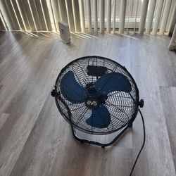 Fan