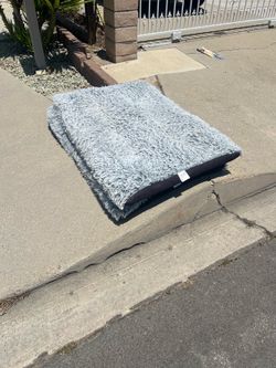 2 large dog beds