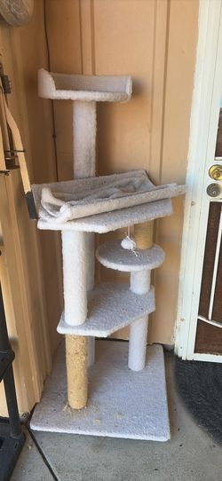 Cat Stand