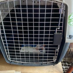 Dog Crate