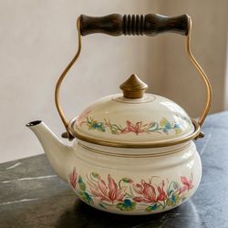Vtg West Germany Fissler ASTA Enamelware Teapot Kettle with Floral Pink Roses