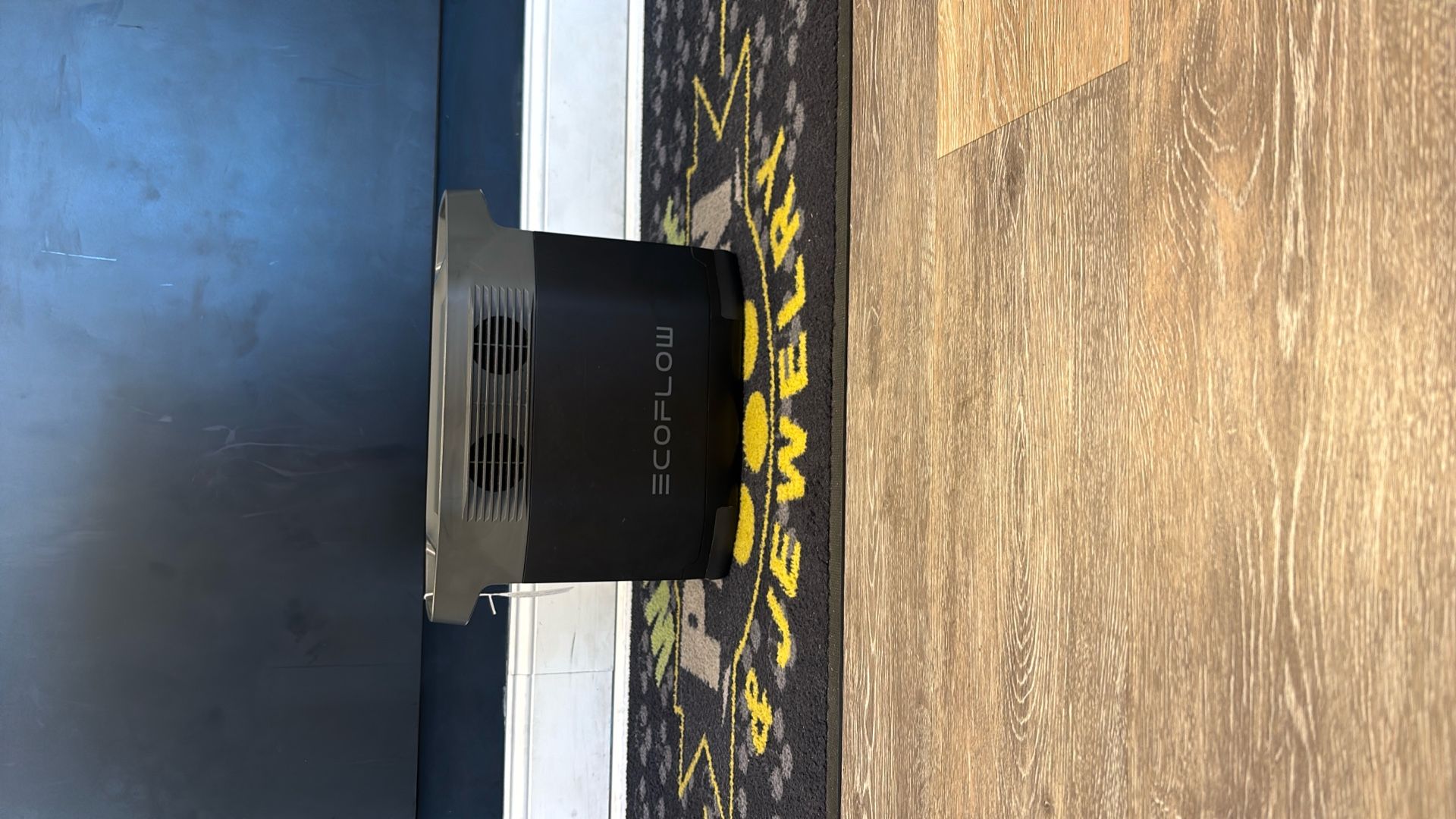 EF ECOFLOW Delta 1000