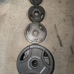 Fitness Gear Olympic Plates