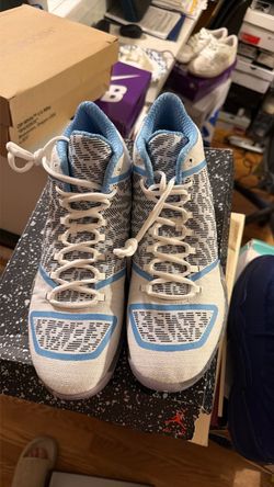 Air Jordan 29