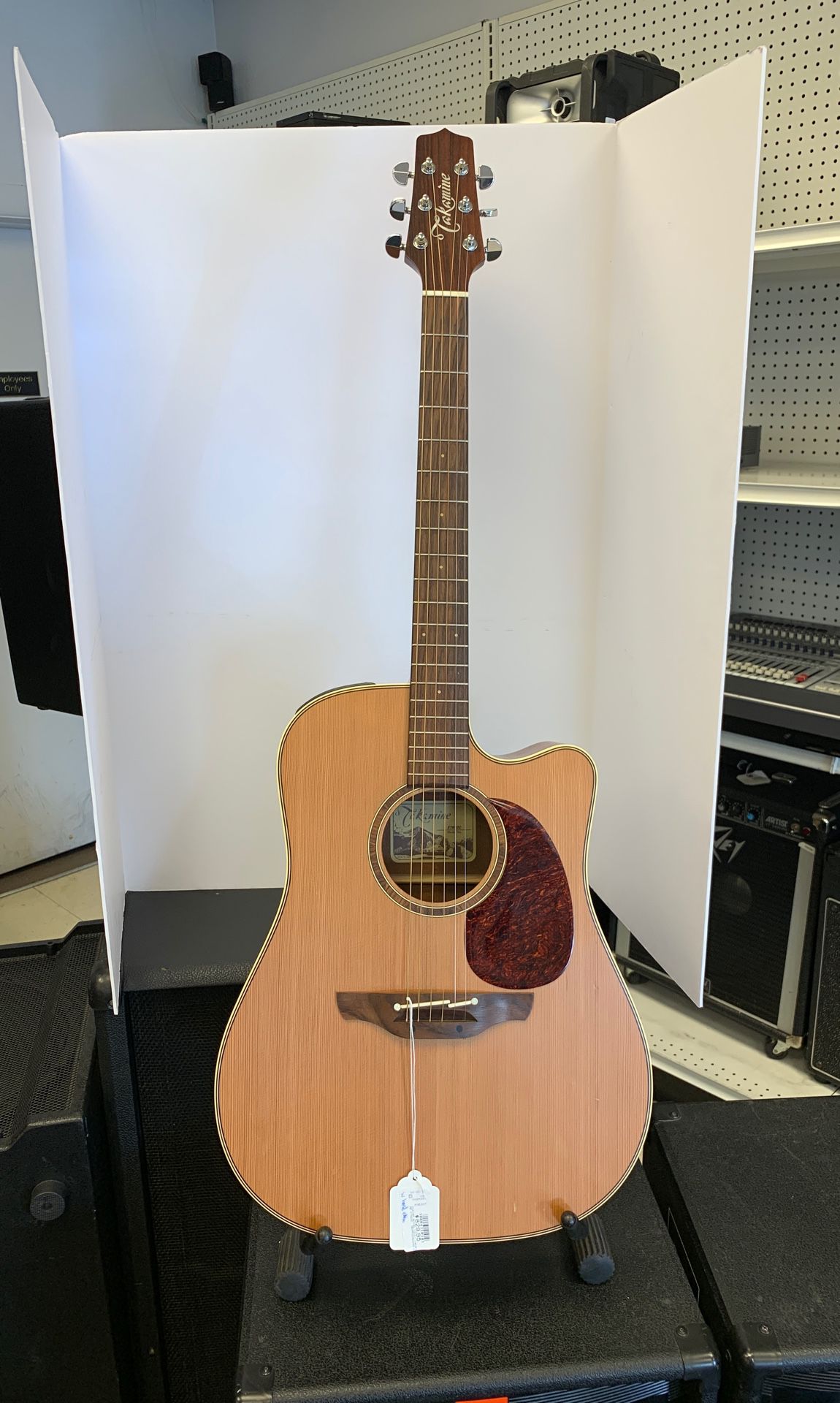 Takamine guitar , electric/acoustic $750