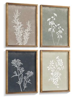 Framed Wall Art Set of 4 for Wooded Minimalist Botanical Print Wall NEW