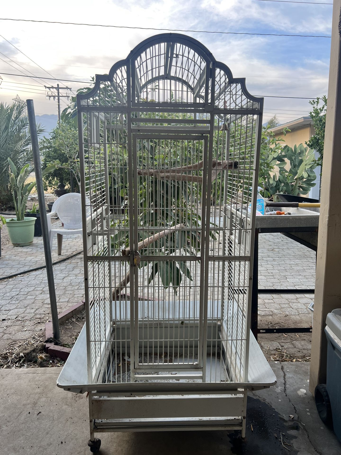 Bird cage