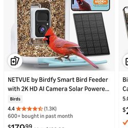 Birdfy AI bird feeder