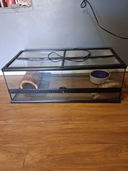 Terrarium for reptile