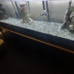 Fish Tank 150 Gallon W/ Fish