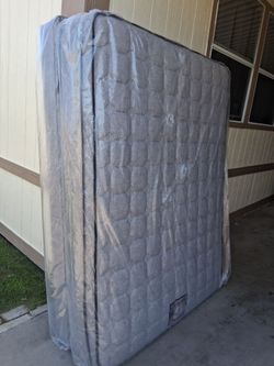 Queen  Sise  Euro  Pillow  Top  And  Box  Spring