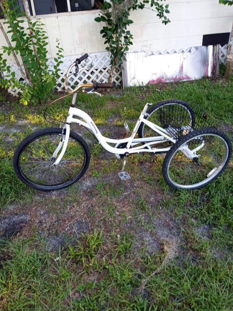 Aluminum Frame, Back Brakes Work, (Rust) Pretty Much Everything That Isn't Aluminum. Rolls Freely,Seat ????h
