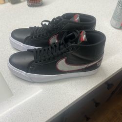 Nike-Grant Taylor- Skate Shoes-high top 