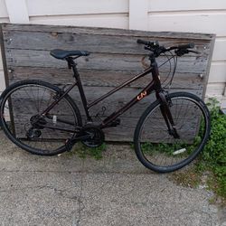 Pre Loved Liv Alight 3 -  21 Speed bicycle- HYBRID BIKE - By Giant 