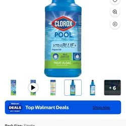 Clorox Pool Cleaner 