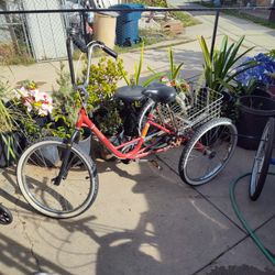 3 Wheeler Bicycle 