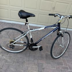 Schwinn Bike
