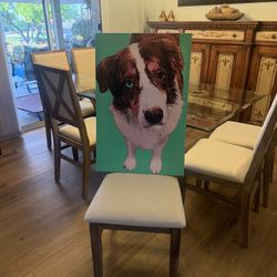 Australian Shepherd On Canvas