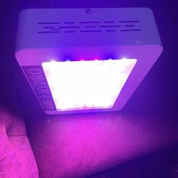 Grow Light