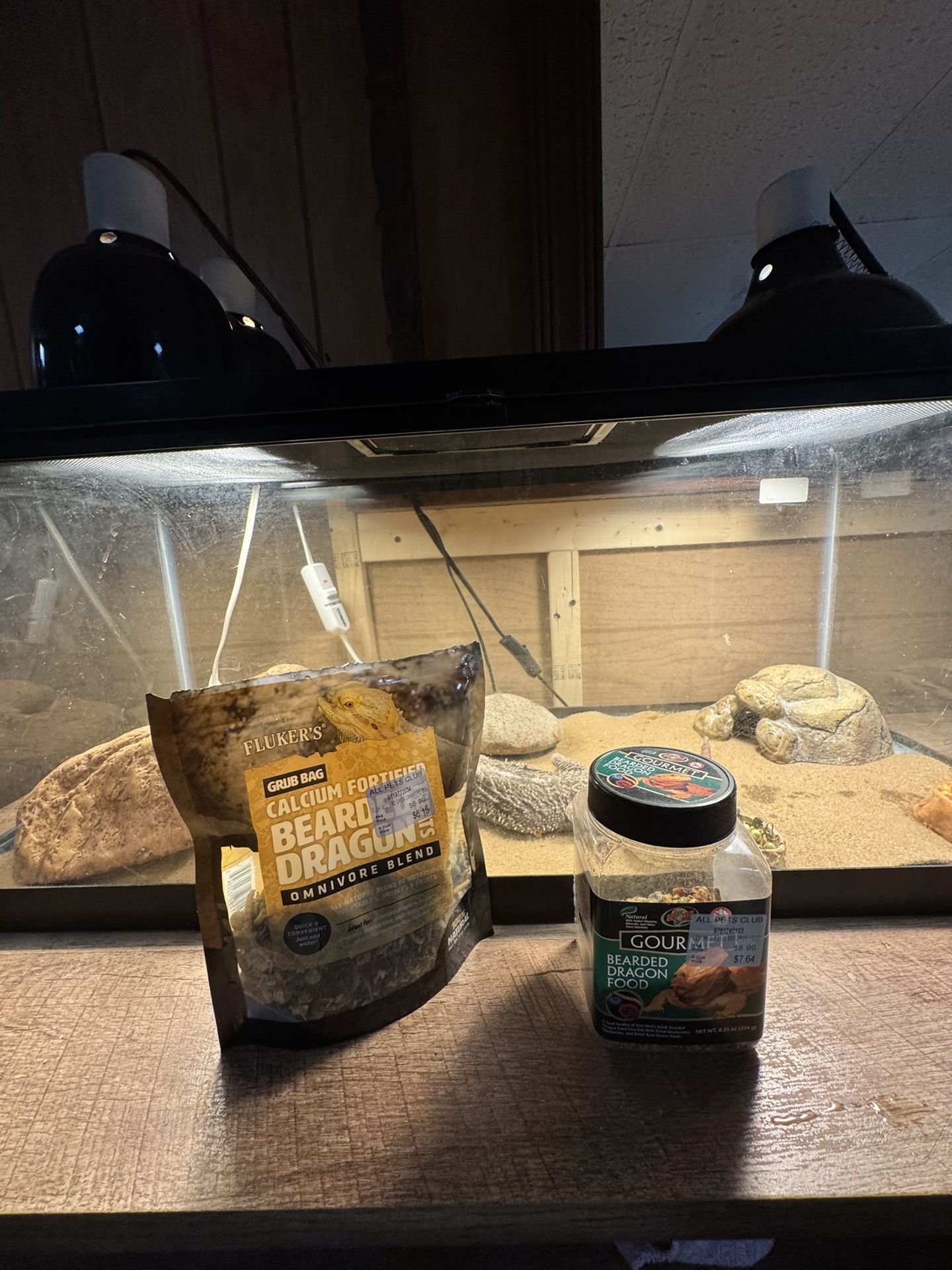 Bearded Dragon For Sale (with Cage, Hard Food, Heat pad, And Lights)