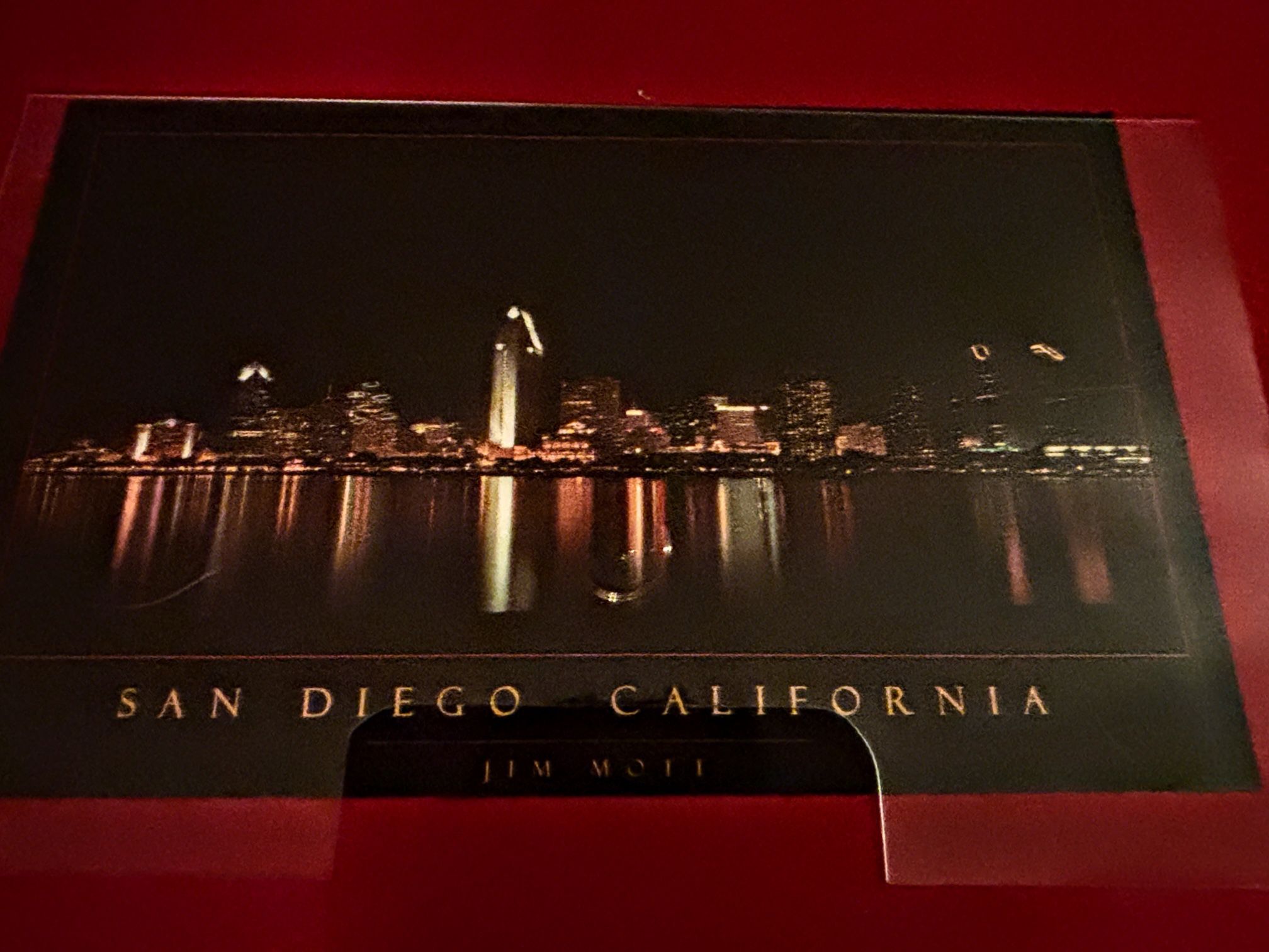 Jim Mott 1996 San Diego California Skyline Poster