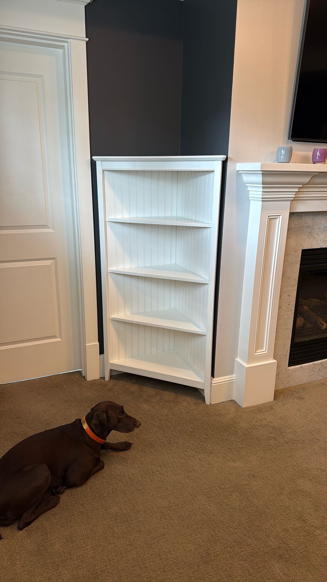 White Corner Bookcase