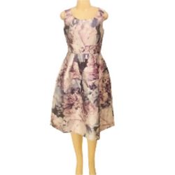 Alexa B Nites Sz 6 Women Floral Dress