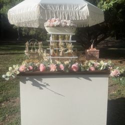 Custom Pop-Up Retail Display Cart | Solid Wood Top | Rolling | $250 OBO