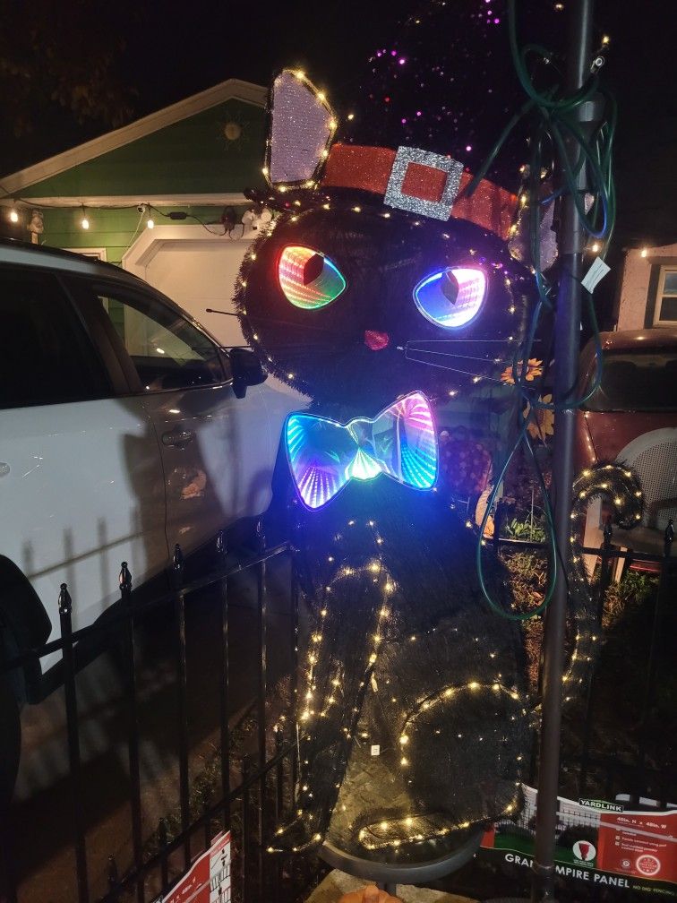 halloween cat new