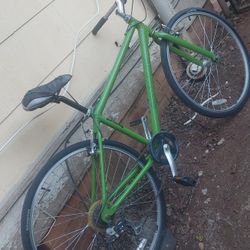 Schwinn  Adult Bike