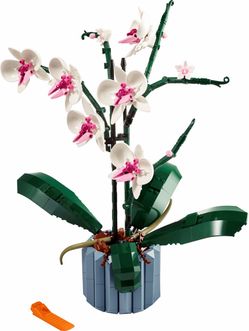 Lego: Orchid
