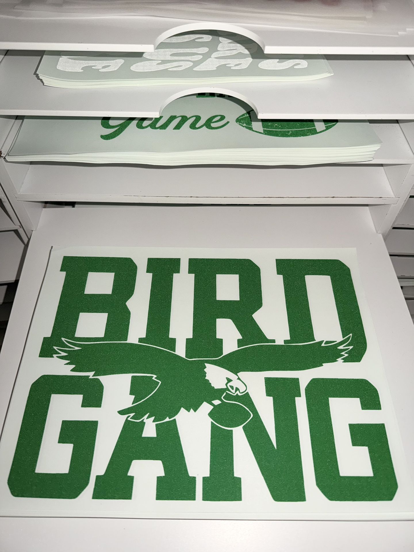 Philadelphia Eagles Fan Screen Print Heat Transfers!!!