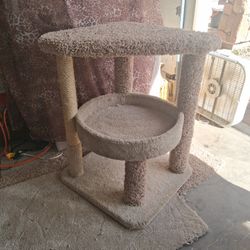 Cat tree. Cat tower. Cat scratcher. Cat bed. Cat condo. Cat post