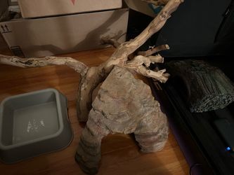 Lot of reptile supplies