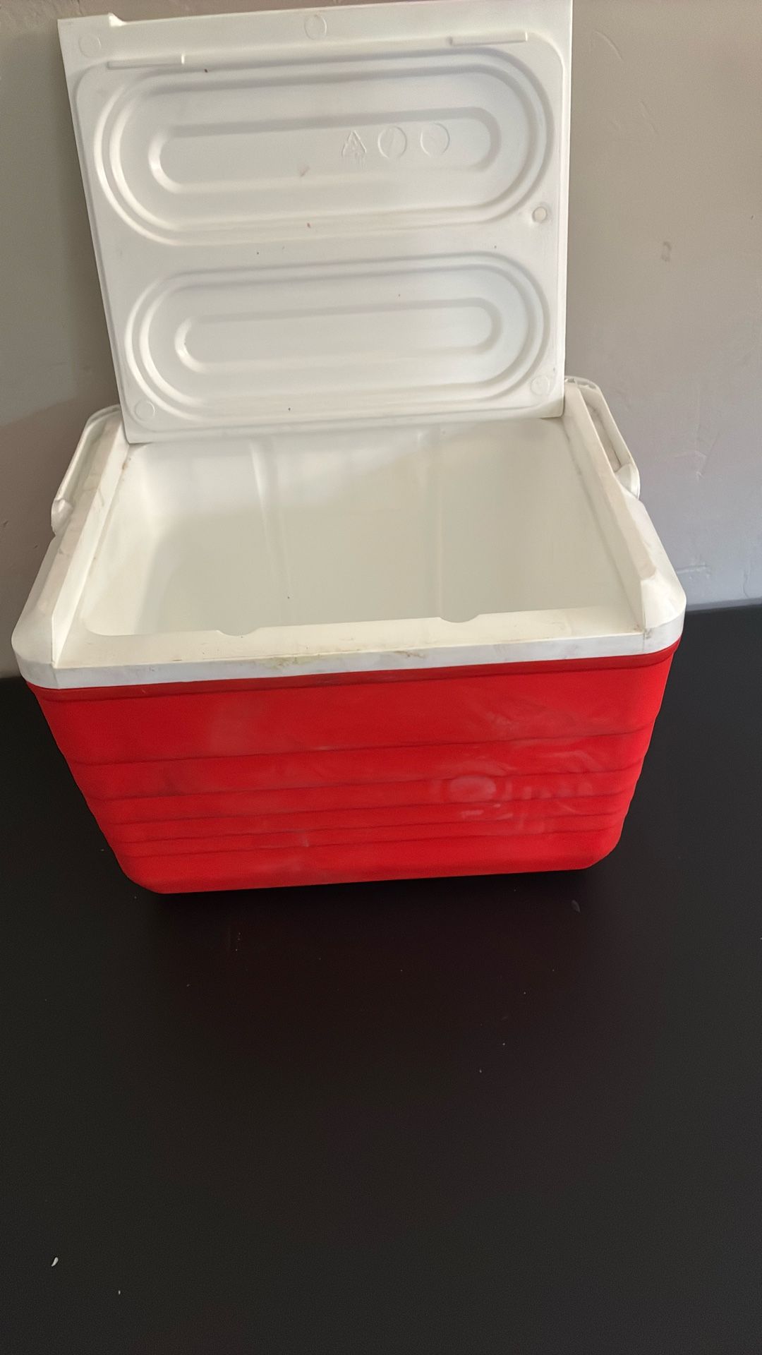 Mini Ice Chest