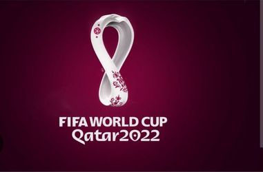 Panini world cup 2022