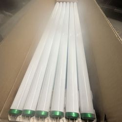 Philips Light Bulbs Case