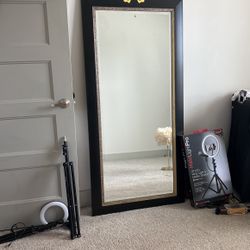 Floor Length Mirror 