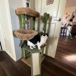 Cat Tree