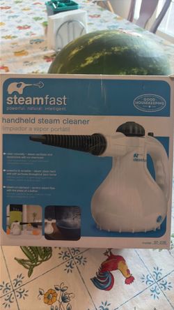 Steam cleaner