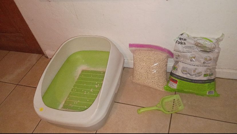 Cat Litter Box Read Description 