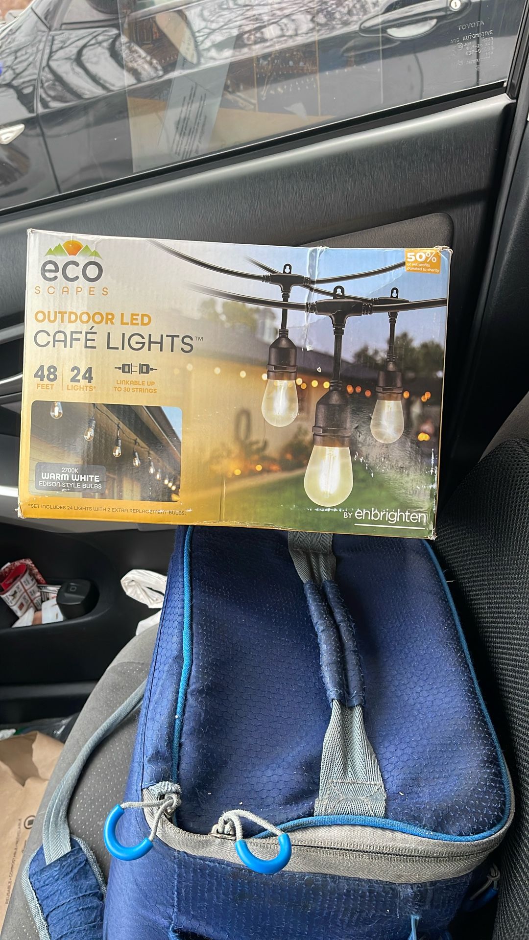 • EcoScapes Outdoor LED Cafe Lights, 2700K Warm, Edison Style (24 Bulbs, 48 Ft)